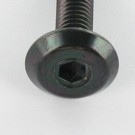 1 x Machine Screw flat Hexagon Socket 4 M6X30 Black Zinc Plated