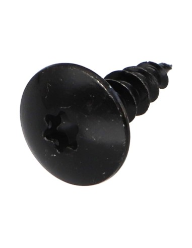 1 x Screw Truss 6X20 Full Thread T30 Black Zinc...