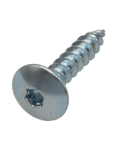 1 x Screw Truss 6X25 Full Thread T30 Zinc Plated