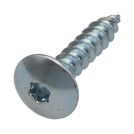 1 x Screw Truss 6X25 Full Thread T30 Zinc Plated