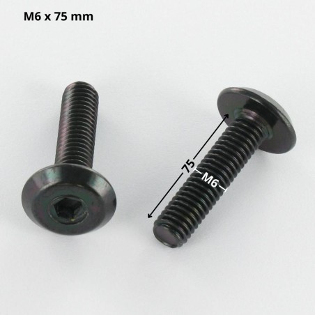 1 x Machine Screw flat Hexagon Socket 4 M6X75 Black Zinc Plated