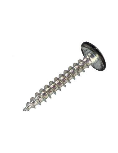 1 x Screw Truss 4X30 Thread Length: 20 T20 Zinc...