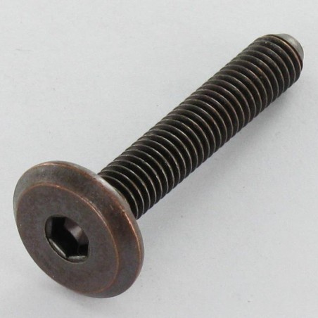 1 x Machine Screw flat Hexagon Socket 4 M6X60 bronze steel