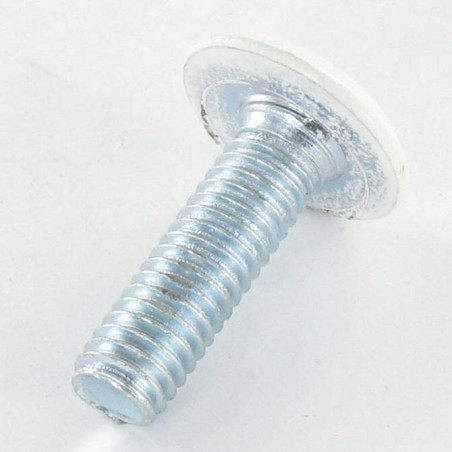 1 x Machine Screw flat Hexagon Socket 4 M6X25 Zinc Plated Head Ral9010/Pure White