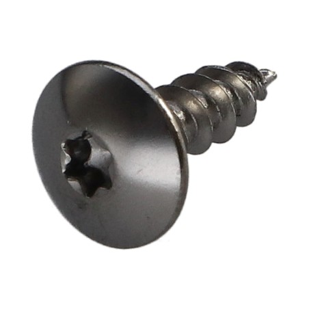 1 x Screw Truss 5X16 Full Thread T20 Plain Chromed