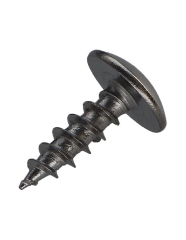 1 x Screw Truss 5X16 Full Thread T20 Plain Chromed