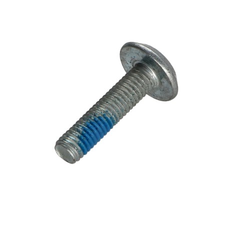 1 x Machine Screw flat Hexagon Socket 4 M6X25 Zinc Plated + Patch Nylon