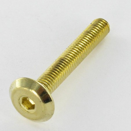 1 x Machine Screw flat Hexagon Socket 4 M6X80 Brass Plated Steel
