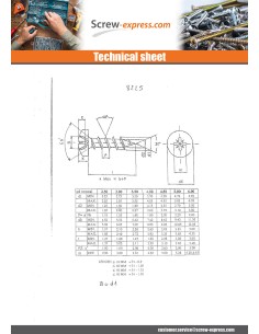 Chipboard Screw Stainless Steel A2 Round Head Pozi 3X20... 2
