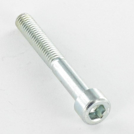 1 x Machine Screw Socket Head Hexagon Socket 17 M20X60 Thread Length: 52 Class 12.9 Zinc Plated