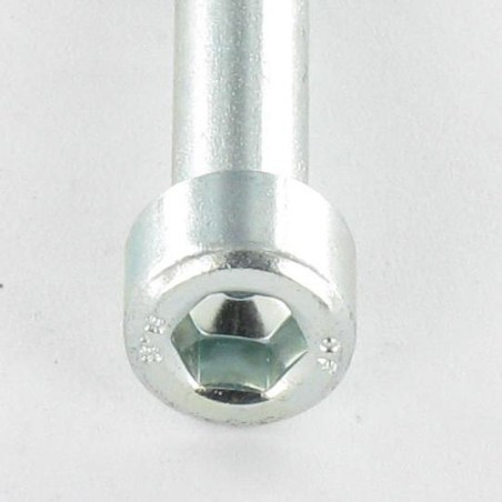1 x Machine Screw Socket Head Hexagon Socket 17 M20X60 Thread Length: 52 Class 12.9 Zinc Plated