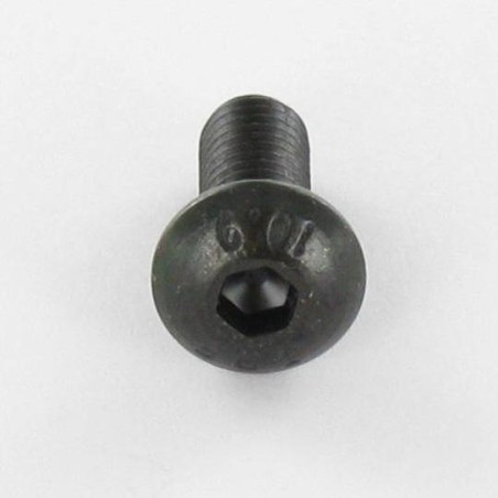 1 x Machine Screw Hex Socket Pan Head Cap M6X55 Full Thread Class 10.9 Hexagon Socket 4 Steel