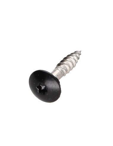 1 x Head Facade Screws T20 4.8X25 Head...