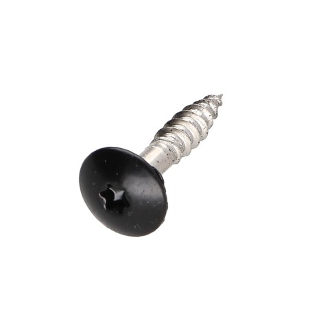 1 x Head Facade Screws T20 4.8X25 Head Diameter: 12.3 Stainless Steel A2 Ral9005/Jet Black