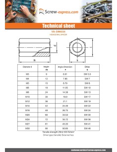 Manchon Hexagonal M5X15 Flatbed 8 Zinc Plated 2