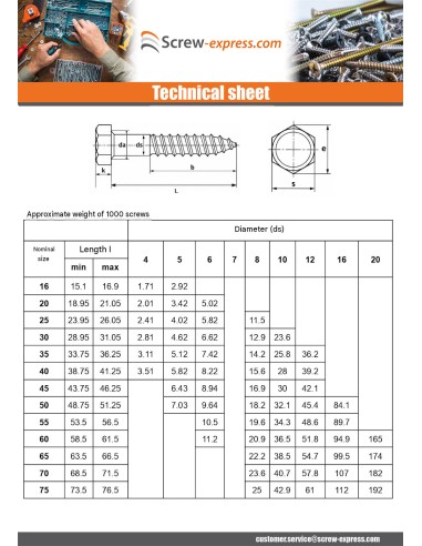 1 x Coach Screws/Hexagonal Head Wood Stainless...