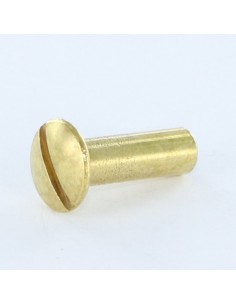 Nut Binder Pan Head Slotted M4X12 5X16 Brass