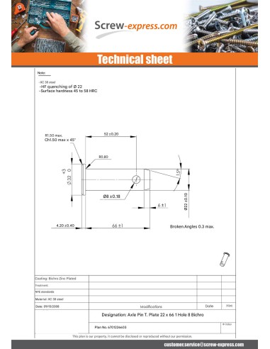 1 x Rod Pin With Hole Flat Head 22X66HOLE...