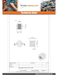 Self Tapping Insert Slotted Zinc Plated M8 15X13 2