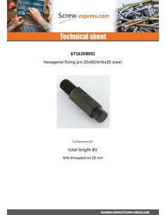 PICOT fixation Hexagonal 20X80 Thread Length: M16X25 Steel 2