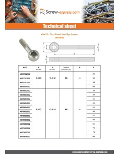 Machine Screw to Eye M8X35 Thread Length: 22 Zinc Plated 2