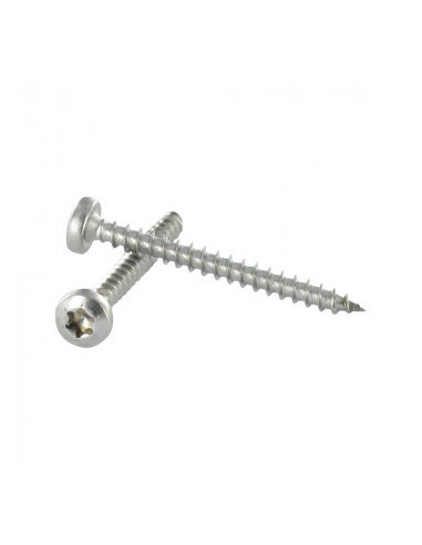 1 x Chipboard Screw Round Head T20 4X20...
