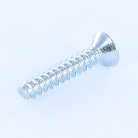 1 x Thread Rolling Screw Countersunk Head Phillips 2 Without Point 3.9X13 Zinc Plated