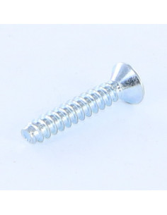 Thread Rolling Screw Countersunk Head Phillips 2 Without... 2