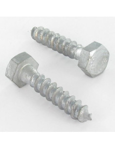 Coach Screw 8X110 Hot Dip Galvanized