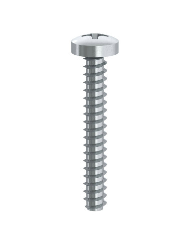 1 x Thread Rolling Screw Pan Head Phillips 1...