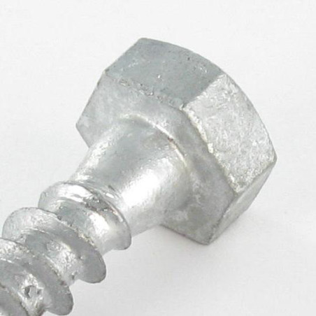 1 x Coach Screw 8X40 Hot Dip Galvanized