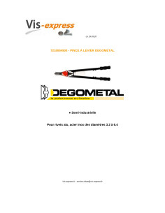DEGOMETAL GO rivet gun 849 2