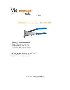 DEGOMETAL GO rivet gun 755 2