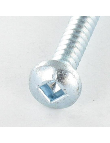 1 x Thread Rolling Screw wide domed head Square...