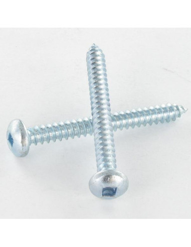 1 x Thread Rolling Screw wide domed head Square...
