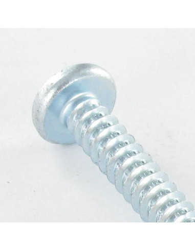 1 x Thread Rolling Screw wide domed head Square...