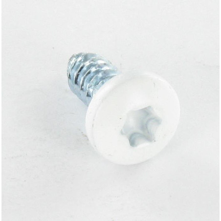 1 x Thread Rolling Screw Pan Head With Serration 6.3X16 T30 Zinc Plated Ral9016/Traffic Signalisation
