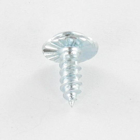 1 x Thread Rolling Screw Mushroom With Serration T20+TETON 3.5X9.5 Zinc Plated