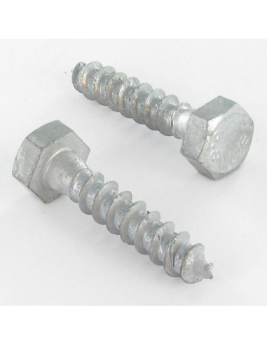 1 x Coach Screw 10X160 Hot Dip Galvanized