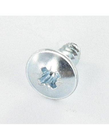 1 x Thread Rolling Screw Mushroom Pozi 4.8X13...