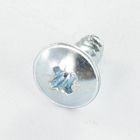 1 x Thread Rolling Screw Mushroom Pozi 4.8X9.5 Zinc Plated Without Point