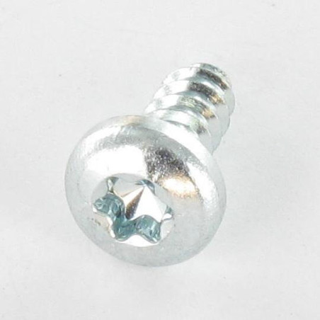 1 x THREAD ROLLING SCREW PAN HEAD 4.2X25 T20 ZINC PLATED