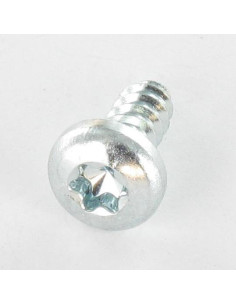 THREAD ROLLING SCREW PAN HEAD 4.2X13 T20 ZINC PLATED 2