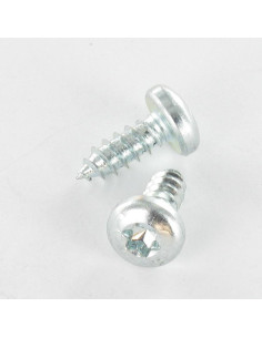 Thread Rolling Screw Large Pan Head T10 2.9X19 Zinc Plated