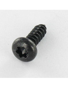 Thread Rolling Screw Pan Head T10 2.9X6.5 Black Zinc Plated