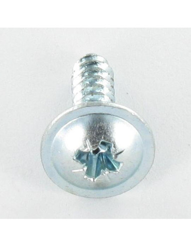 1 x Thread Rolling Screw wide domed head Pozi...