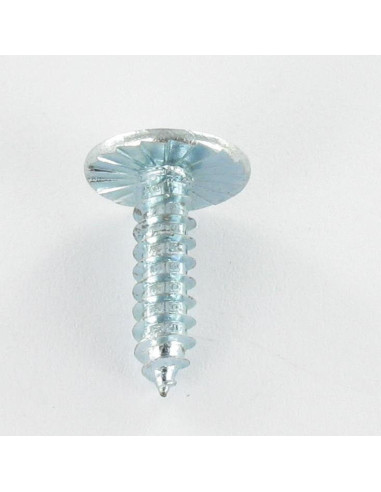 1 x Thread Rolling Screw Large Pan Head Pozi...