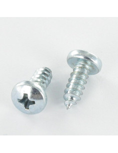 Thread Rolling Screw wide domed head Phillips 2 3.9X19...