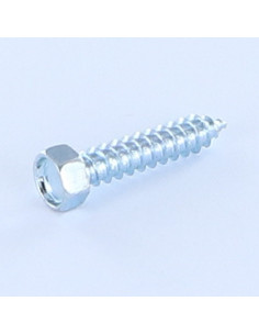 Thread Rolling Screw Hexagonal Head 4.8X19 Zinc Plated