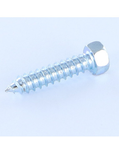 1 x Thread Rolling Screw Hexagonal Head 4.8X19...